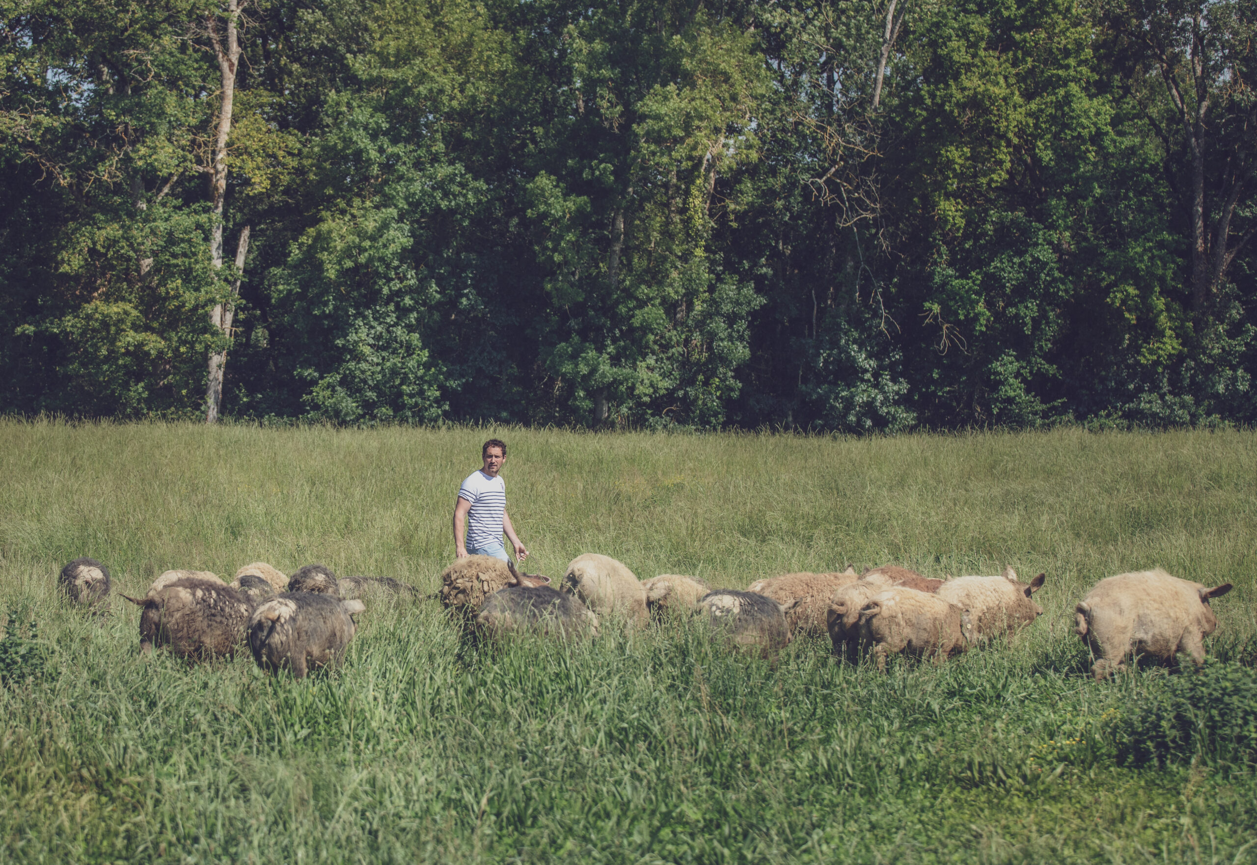 Lorem ipsum dolor sit amet, consectetur adipiscing elit